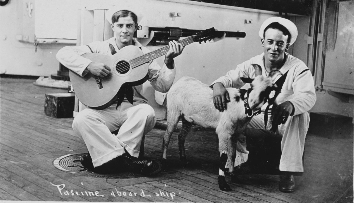 Photo #: NH 106079 Sailors with Guitar and Goat