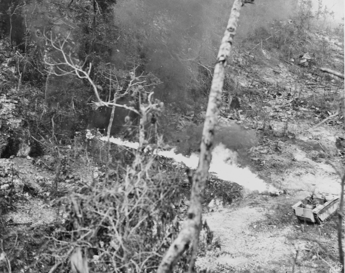 Photo #: NH 104297 Peleliu Invasion, September 1944 past