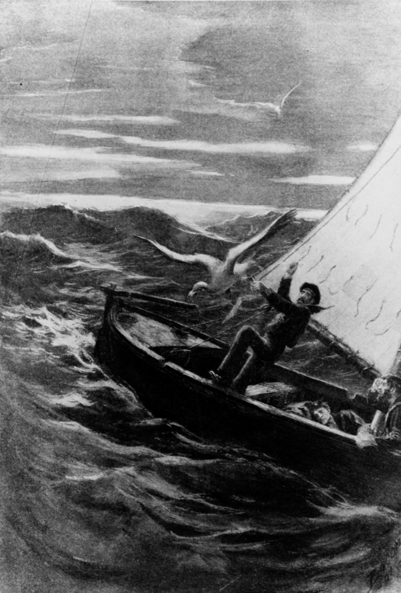 Drawing of Coxswain William Halford capturing an albatross