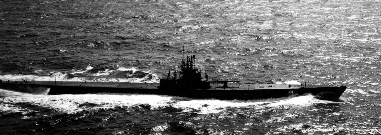 Flier at sea, 30 November 1943, as seen from a VP-32 Martin PBM-3S Mariner flown bv Lt. (j.g.) V. Niland. (U.S. Navy Bureau of Ships Photograph, 19-LCM Collection, National Archives and Records Administration, Still Pictures Division, College Par...