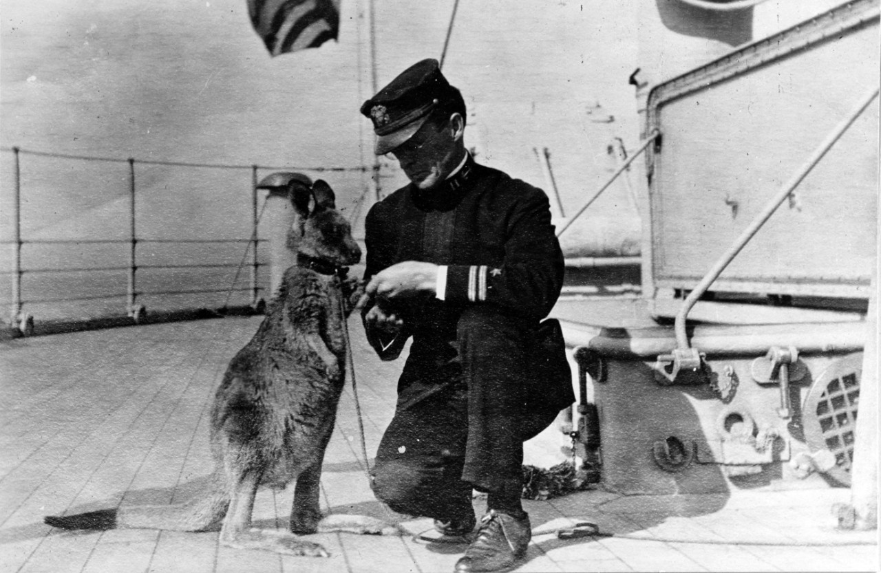Lt. John E. Lewis meets a kangaroo donated by the citizens of Sydney to Connecticut during the ship’s visit to that port, 20–27 August 1908. The crew adopted the kangaroo as their mascot. (Naval History and Heritage Command Photograph NH 50477)