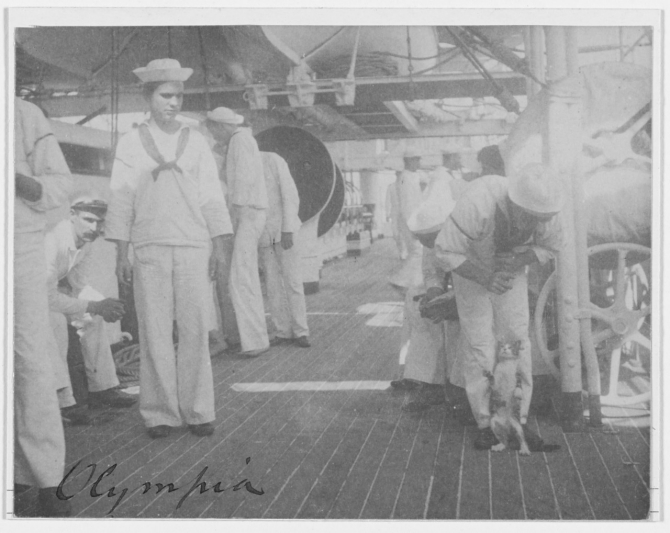 One of the ship’s cats presents a playful attitude alongside some curious crewmen, c. 1898. (George Grantham, Cyanotype print, U.S. Navy Photograph NH 43206, Photographic Section, Naval History and Heritage Command)
