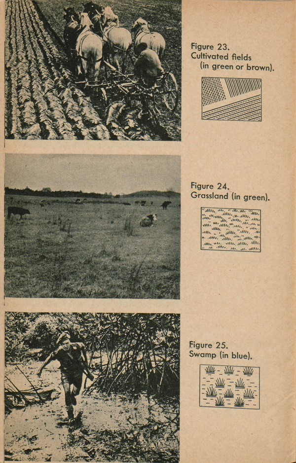 Figure 23: Cultivated fields. Figure 24: Grassland. Figure 25: Swamp.