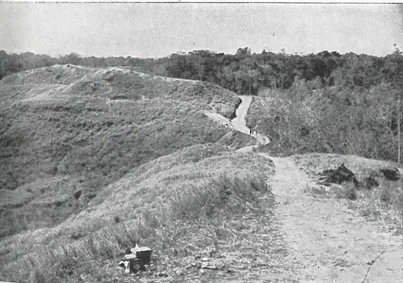 WHERE THE TIDE TURNED - Edson's final position on the Ridge, as viewed from Bailey's intermediate position just southward. If this last line had been carried by the enemy, Guadalcanal would probably have been lost.
