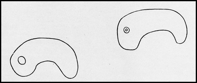 Fig. 2 - Curved jewels (magatama) from a sepulchral mound. (After Sansom.)