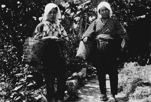 Sericulture - Mother and daughter on the way to pick mulberry leaves for silkworms.
