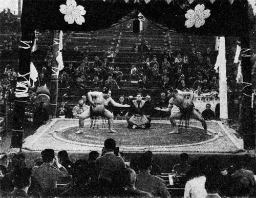 We were puzzled by their sports - such as "Sumo," their wrestling, which looked to us like nothing more than fat men pushing each other around with funny ceremonial gestures ...