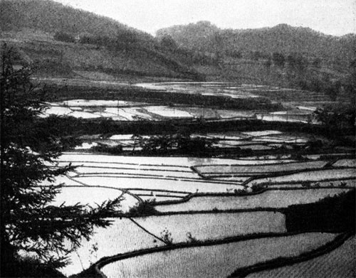 Practically everything we saw in Japan gave us the idea that it was a peace-loving little country where every inch of good soil had to be tilled to supply the nation's food ...