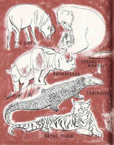 Illustration of animals - pig deer, coconut monkey, rhinoceros, crocodile, and royal tiger.