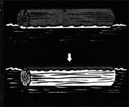Drawing of a dry log above the wate rline and a wet log beneath the water.
