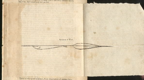 Image of plate pages 2-3 Construction of Ships 'Sections of Fish'