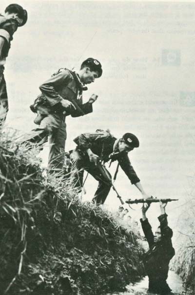 Image - South Viet-Nam's terrain favors guerrilla action. Here Vietnamese troops flush out a Viet Cong insurgent.
