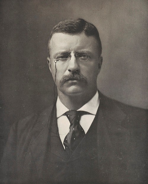 LC-DIG-PPMSCA-36063:   President Theodore Roosevelt, by The Perry Pictures, October 11, 1901.   Courtesy of the Library of Congress.   