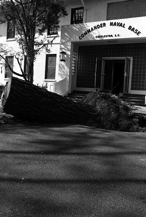 330-CFD-DN-SN-91-00701:  Charleston Naval Shipyard, Charleston, South Carolina.   Fallen tree outside of the headquarters of the naval base’s commander.   This photograph illustrates the force of Hurricane Hugo which passed through the area, October 3, 1989.    Official U.S. Navy photograph, now in the collections of the National Archives.   