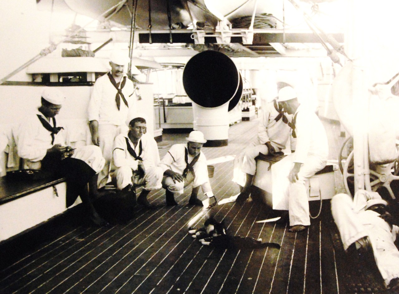 LC-J698-61343: USS Olympia (Cruiser #6), 1899.   Group of sailors with cat mascots.  Photograph by Francis B. Johnston.  Courtesy of the Library of Congress, Lot 8688.    (2015/5/15).