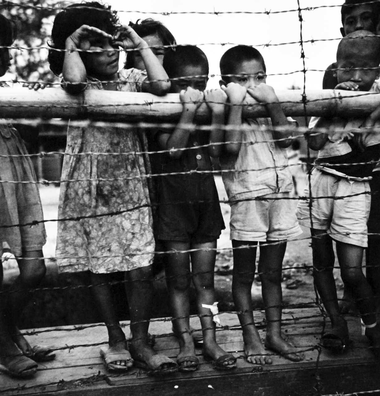 80-G-476063:  Invasion of Guam, July 21-August 10, 1944. Children of Japanese sympathizers in prison stockade on Guam.    Photographed by Lieutenant Wayne Miller, November 1944, TR-11700.     Official U.S. Navy photograph, now in the collections of the National Archives.   (2017/03/15).