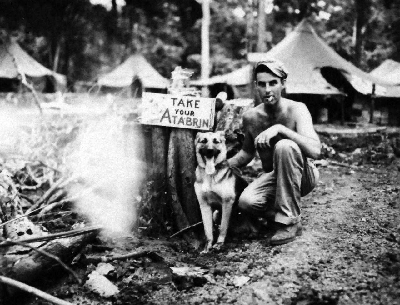 127-GW-966-77356:  Battle of Cape Gloucester, New Britain, December 1943-January 1944.   “Japanese sentry who joined Marines.”   “Nipper,” a Japanese sentry dog, who voluntarily joined the Marines on Cape Glouchester, poses with Marine Master Technical Sergeant George E. Ausman, who had been a Marine since 1926.   Photographed by Sergeant G.F. Koepplinger, 10 February 1944.   Official U.S. Marine Corps Photograph, now in the collections of the National Archives.   (2014/7/9).
