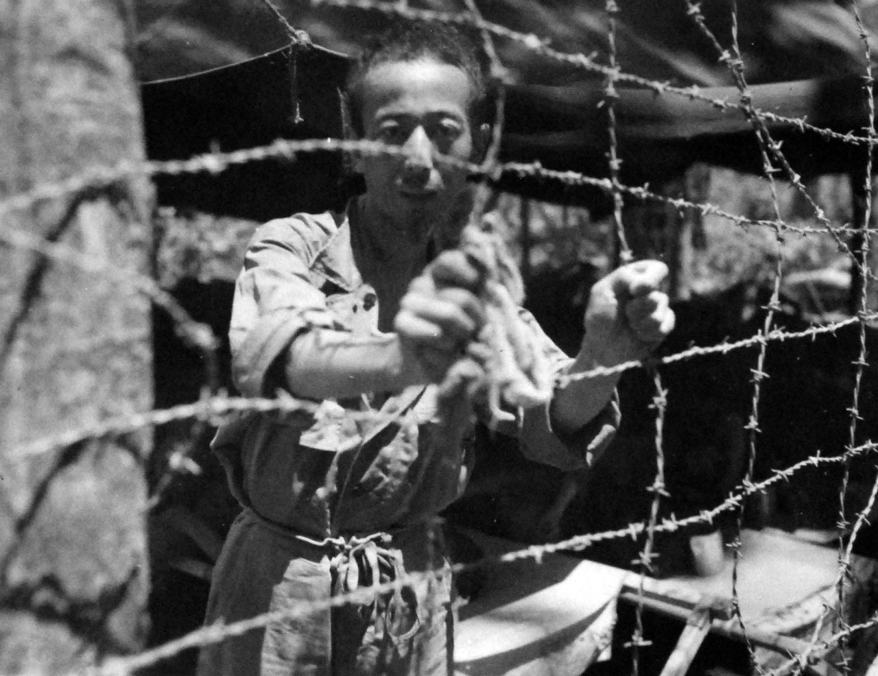 127-GW-971-89065:  Battle of Cape Gloucester, New Britain, December 1943-January 1944.  Japanese prisoner in brig at Cape Gloucester.  Photographed by Howard, March 1944.  Official U.S. Marine Corps Photograph, now in the collections of the National Archives.   (2014/7/9).