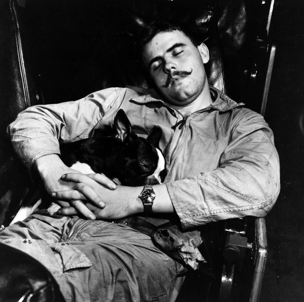 Lieutenant Junior Grade H. Blake Moranville, USNR.  Napping in Fighter Squadron Eleven’s ready room on USS Hornet (CV-12) in company with VF-11’s macot dog, circa January 1945.   He was shot down while strafing Saigon Airport, French Indochina, on January 12, 1945.   Captured by local French authorities, he ultimately escaped China.  Photographed by Lieutenant Commander Charles Kerlee, USNR.   Official U.S. Navy Photograph, now in the collections of the National Archives, 80-G-469326. 