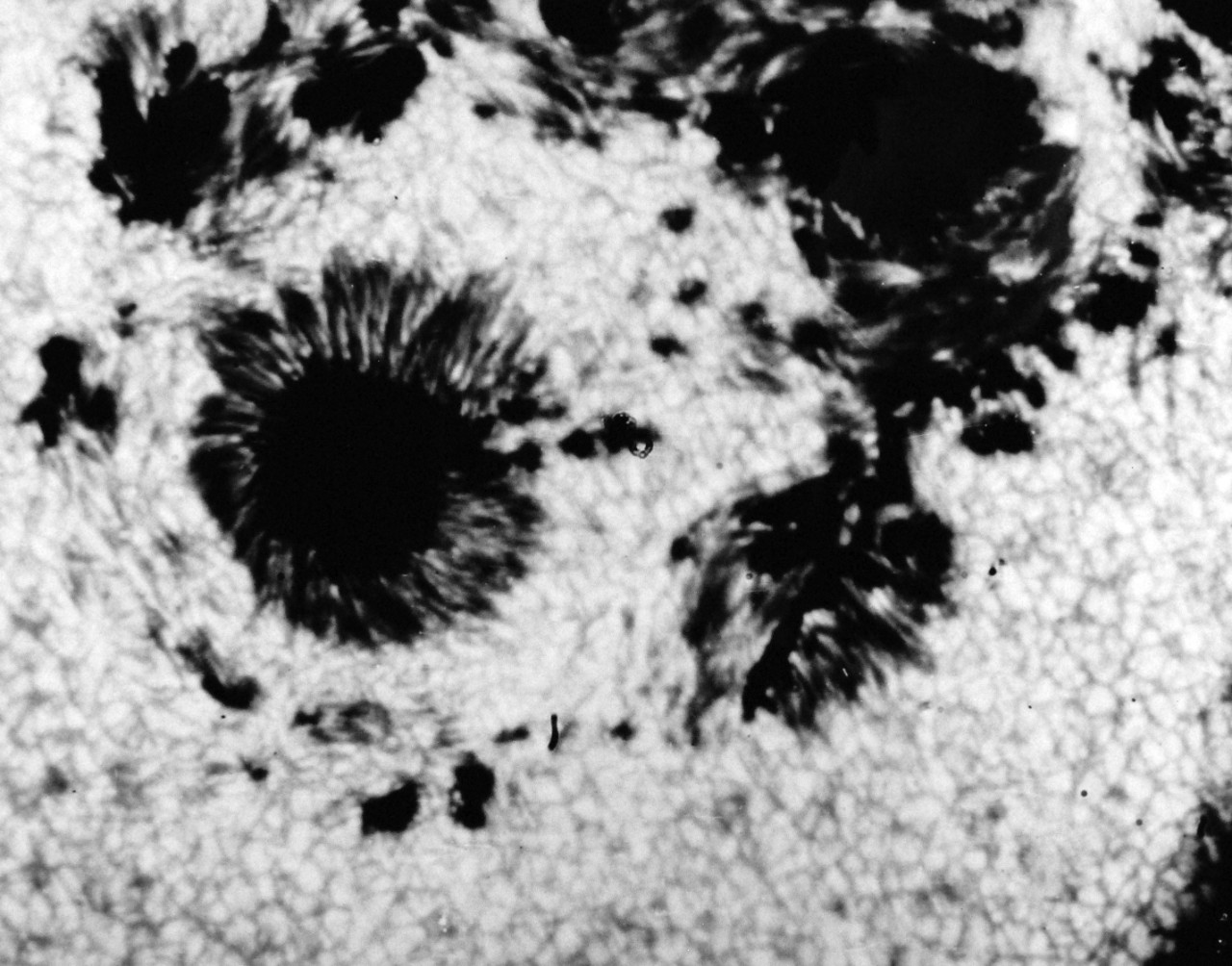 USN 710511:   U.S. Navy Balloonist Photographs Sunspots at 80,000 feet.   This extremely clear close-up photograph of part of the surface of the Sun was made above most of Earth’s atmosphere from a U.S. Navy stratoscope balloon at 80,000  feet of 17 August 1959.   The black spots consist of dark cores of relatively y cool gases emebbed in strong magnetic fields.  The cores are surrounded by envelopes composed of wispi filaments of outward-moving warmer gases.  The whole spot group is embedded in hot gases covering the entire surface of the Sun.  These gases produced a magnetic storm and major disturbances in long range radio communications on Earth on 16 August 1959, the day before the balloon flight.  The Office of Naval Research and the National Science Foundation sponsored the stratoscope flight, 17 August 1959.   Photograph released on 4 September 1959.  Official U.S. Navy photograph, now in the collections of the National Archives.     