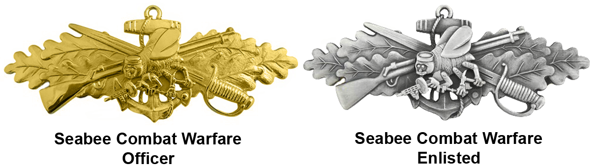 <p>Seabee Combat Warfare medals</p>
