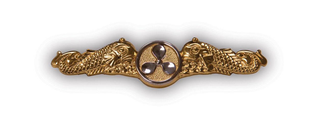 <p>Pin of golden officer dolphins</p>