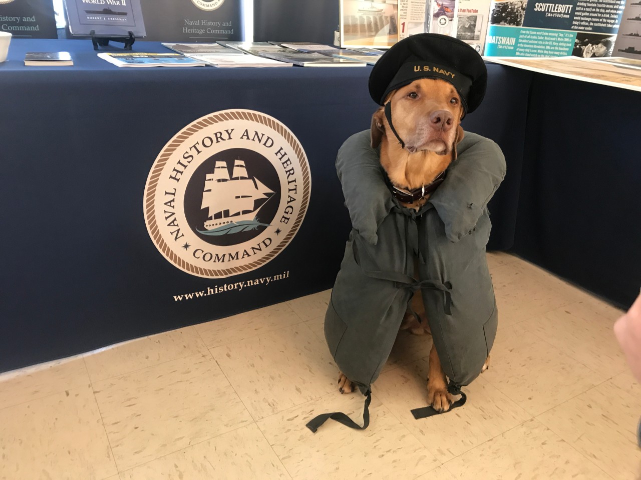 Dog sits in front of Naval History and Heritage Command logo. 