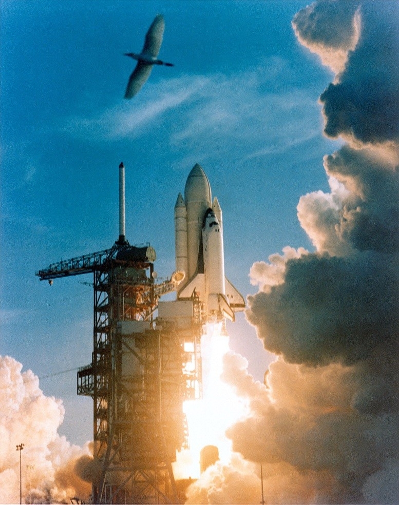Space shuttle Columbia (STS-1)