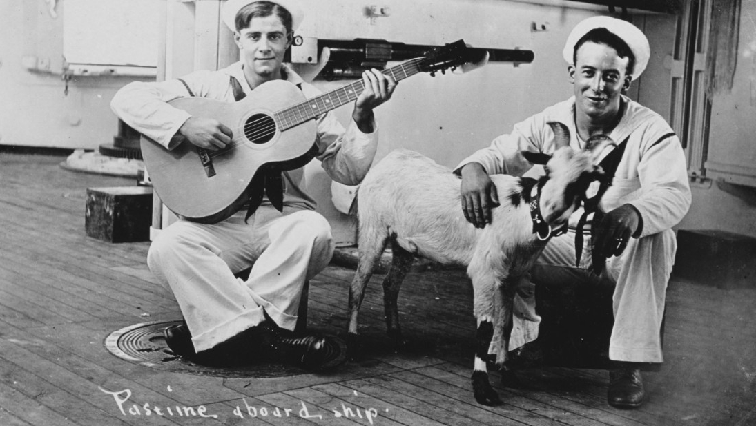 Sailors with guitar and goat