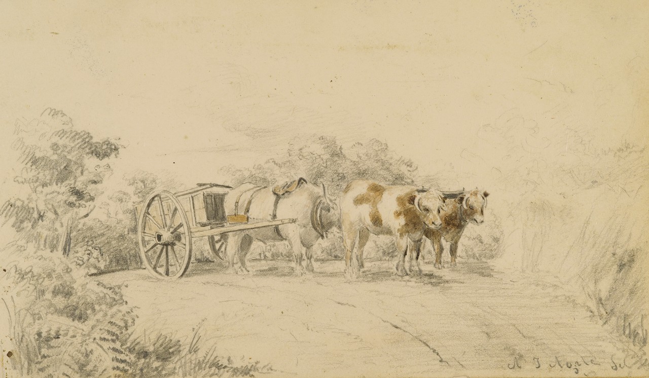 Oxen pulling a cart