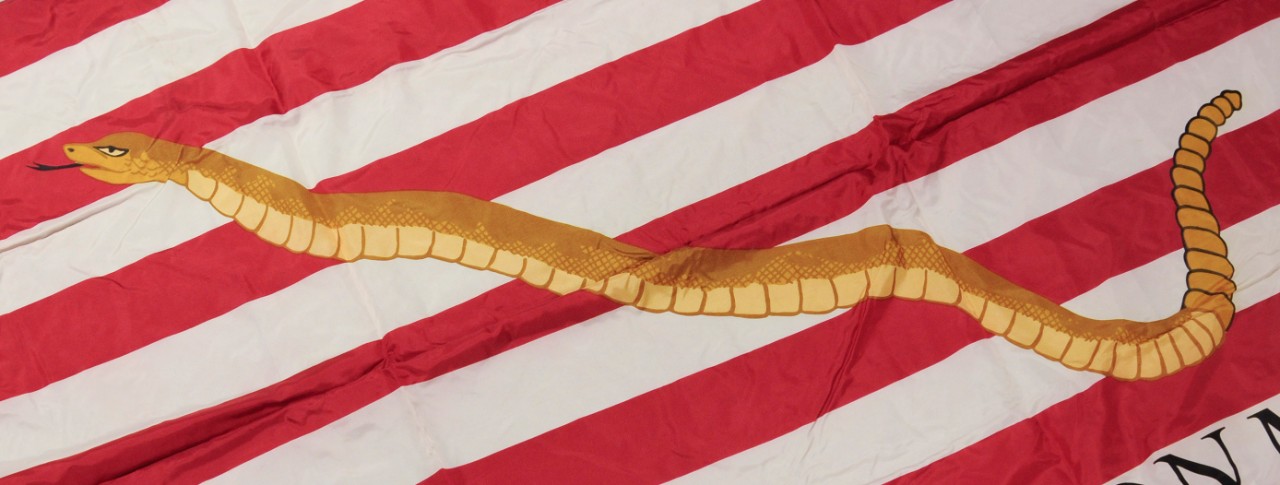 <p>First Navy Jack Cropped</p>
