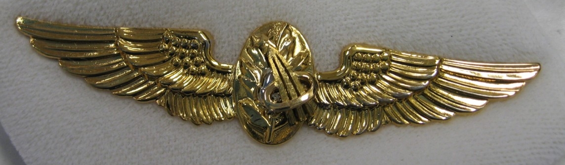 One pair of naval aviator wings with the emblem of a flight surgeon, the oak leaf with the silver acorn, and the gold astronaut device (shooting star through a halo) centered on the shield, or escutcheon.  