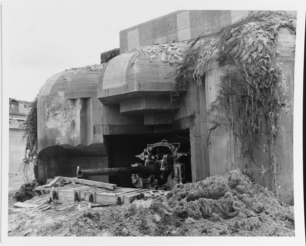 Photo #: 80-G-254307  Cherbourg Campaign, June 1944