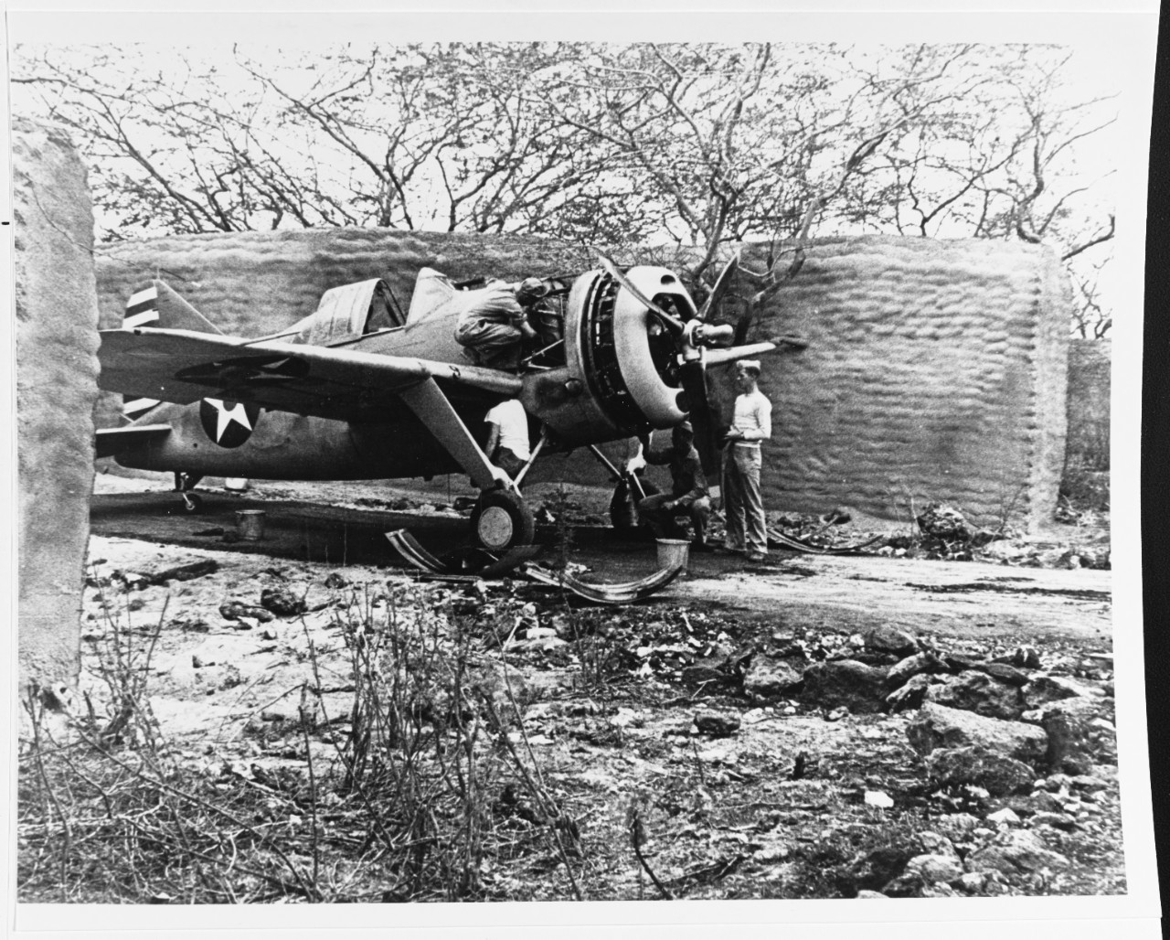 Photo #: 80-G-271041  Brewster F2A-3 &quot;Buffalo&quot; fighter