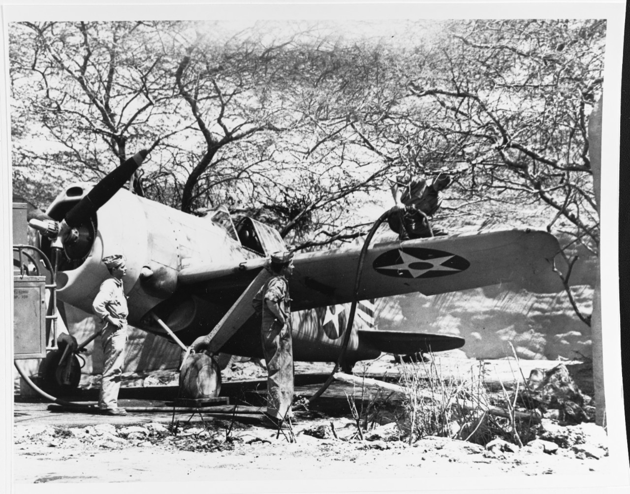 Photo #: 80-G-271049  Brewster F2A-3 &quot;Buffalo&quot; fighter