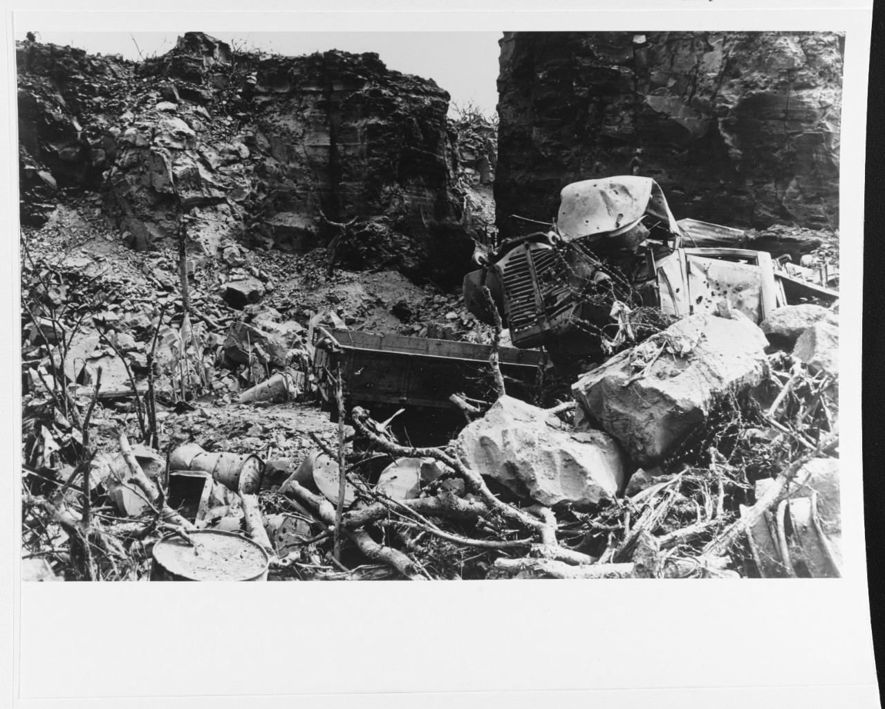 Photo #: 80-G-412531  Iwo Jima Operation, 1945