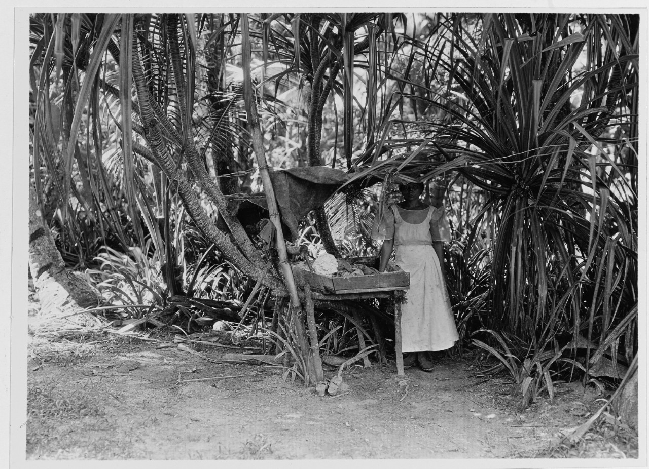 Native washwoman at her work, Guam, 23 November 1929.
