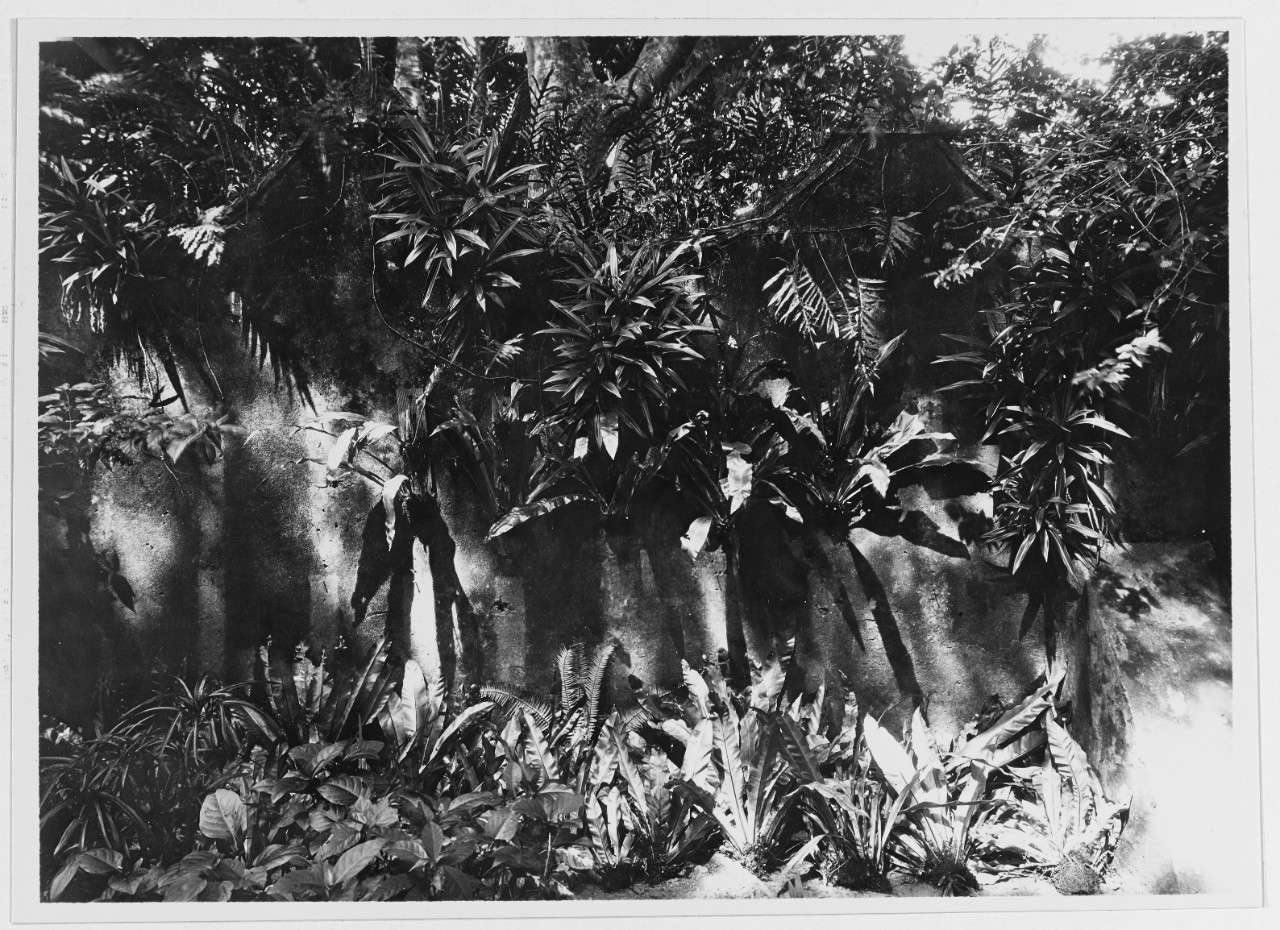 Old wall at palace, Agana, Guam, 7 October 1929.