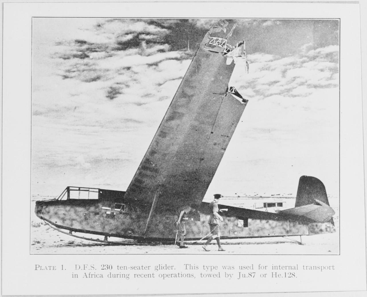 D.F.S. 230 ten-seater glider