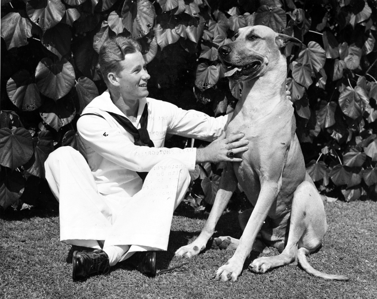 Richmond Raymond  and his dog Gunnah  of Kaneohe while recuperating