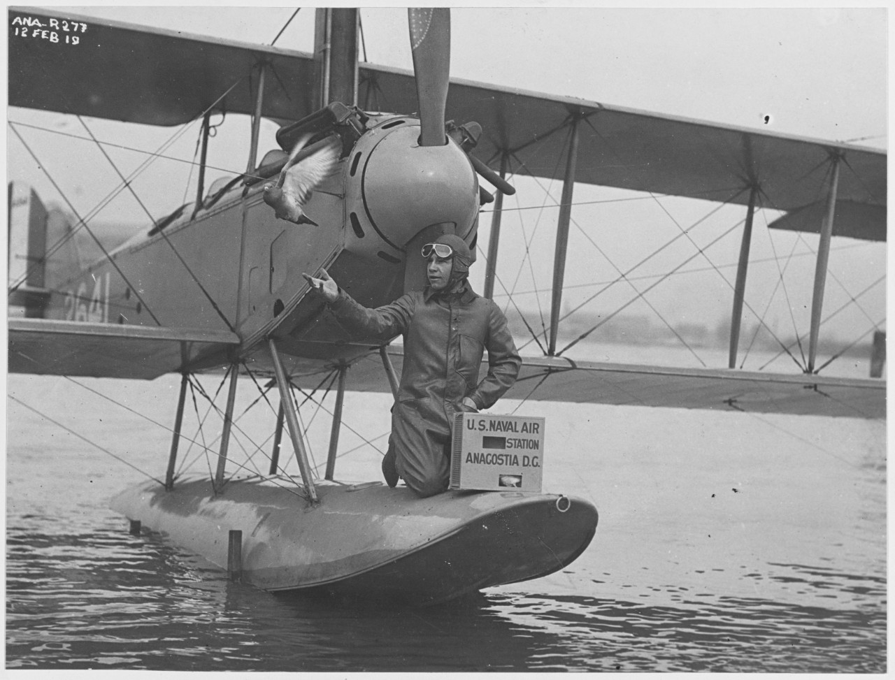 Man releases Carrier Pigeon, U.S. Naval Air Station, Anacostia, Washington, D.C.  February 12, 1919.