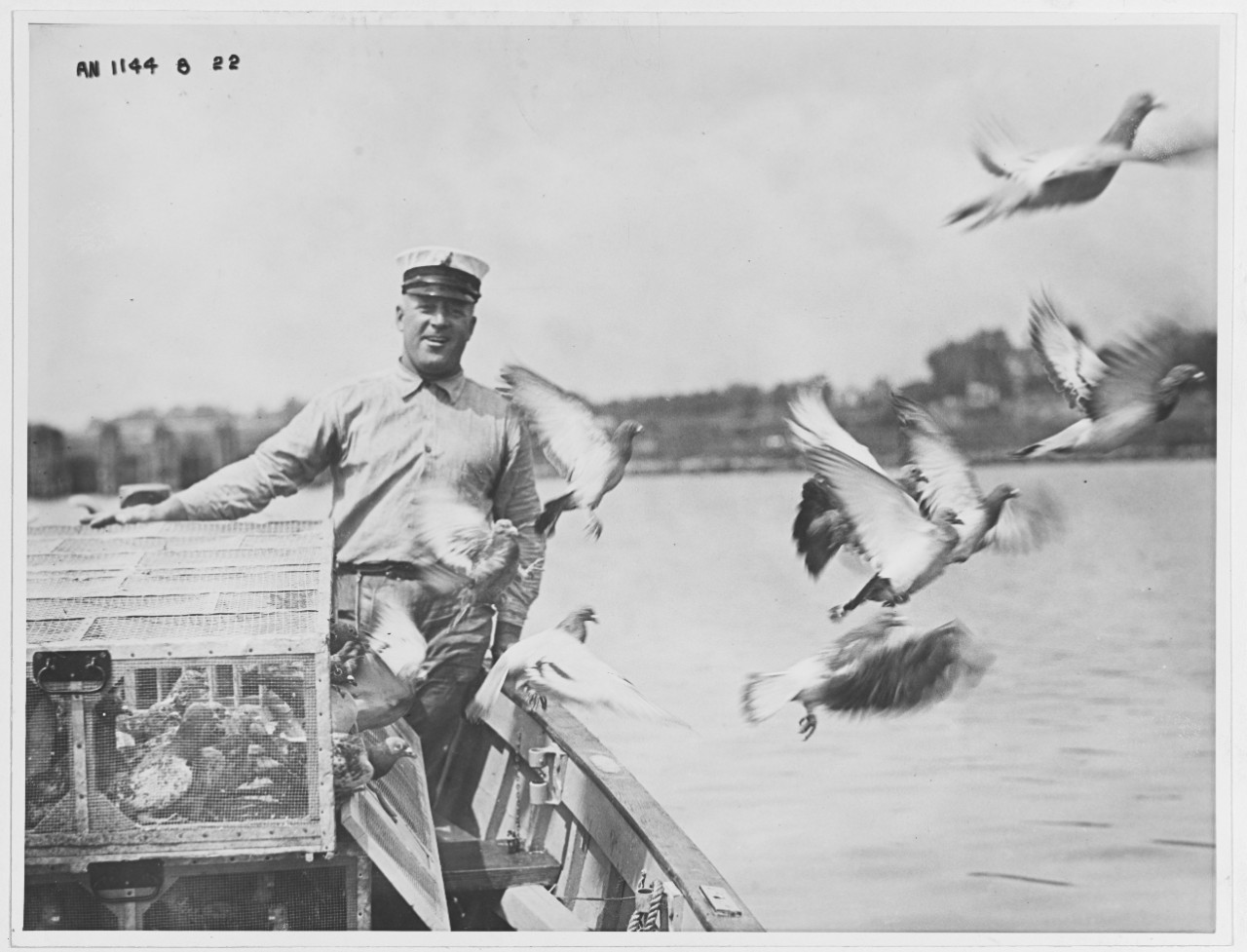 Young carrier pigeons first flight training, Potomac River, Washington, D.C.