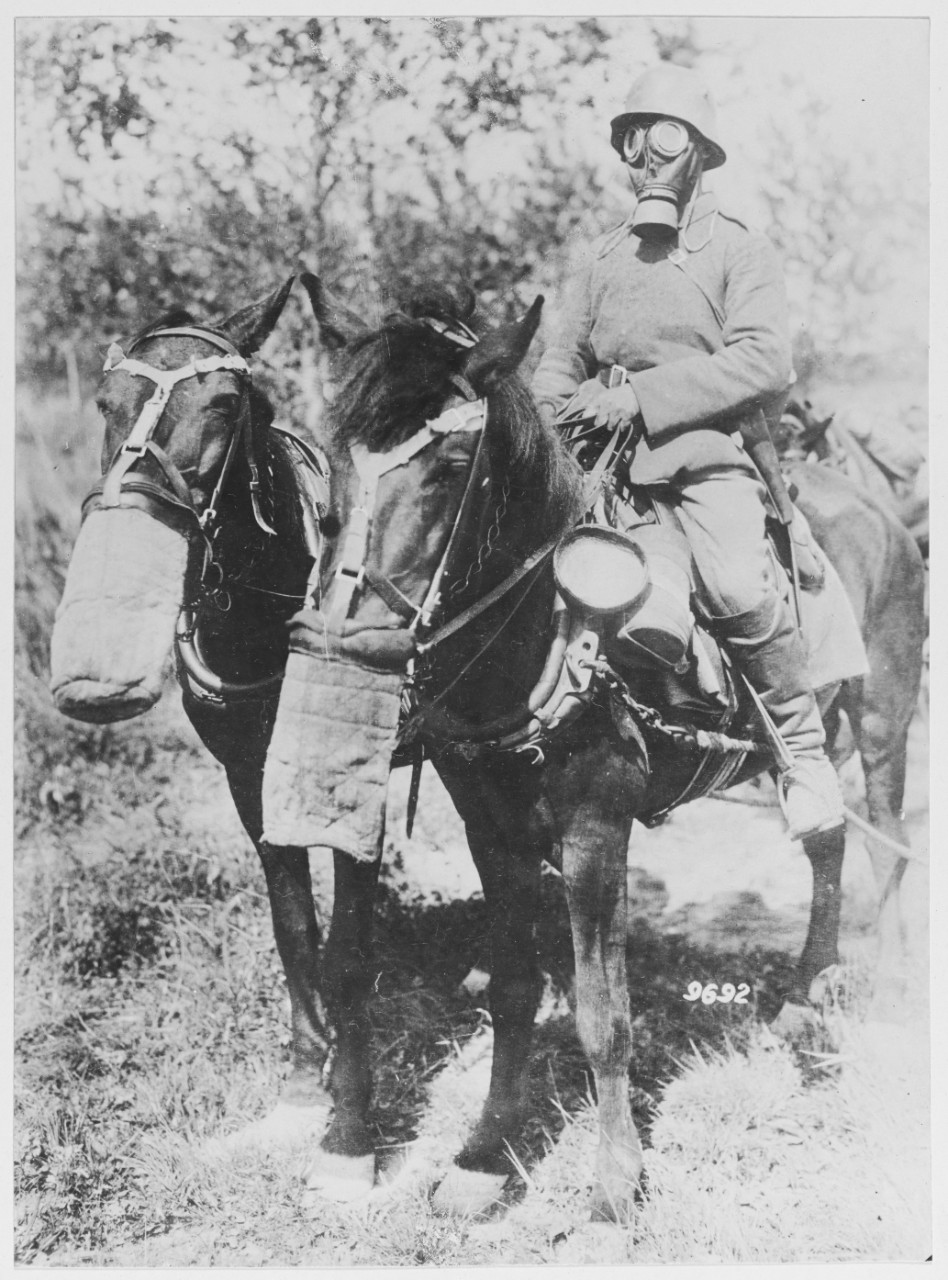 The fight on the Winterberg. Man wears gas mask, rides horse wearing gas mask.