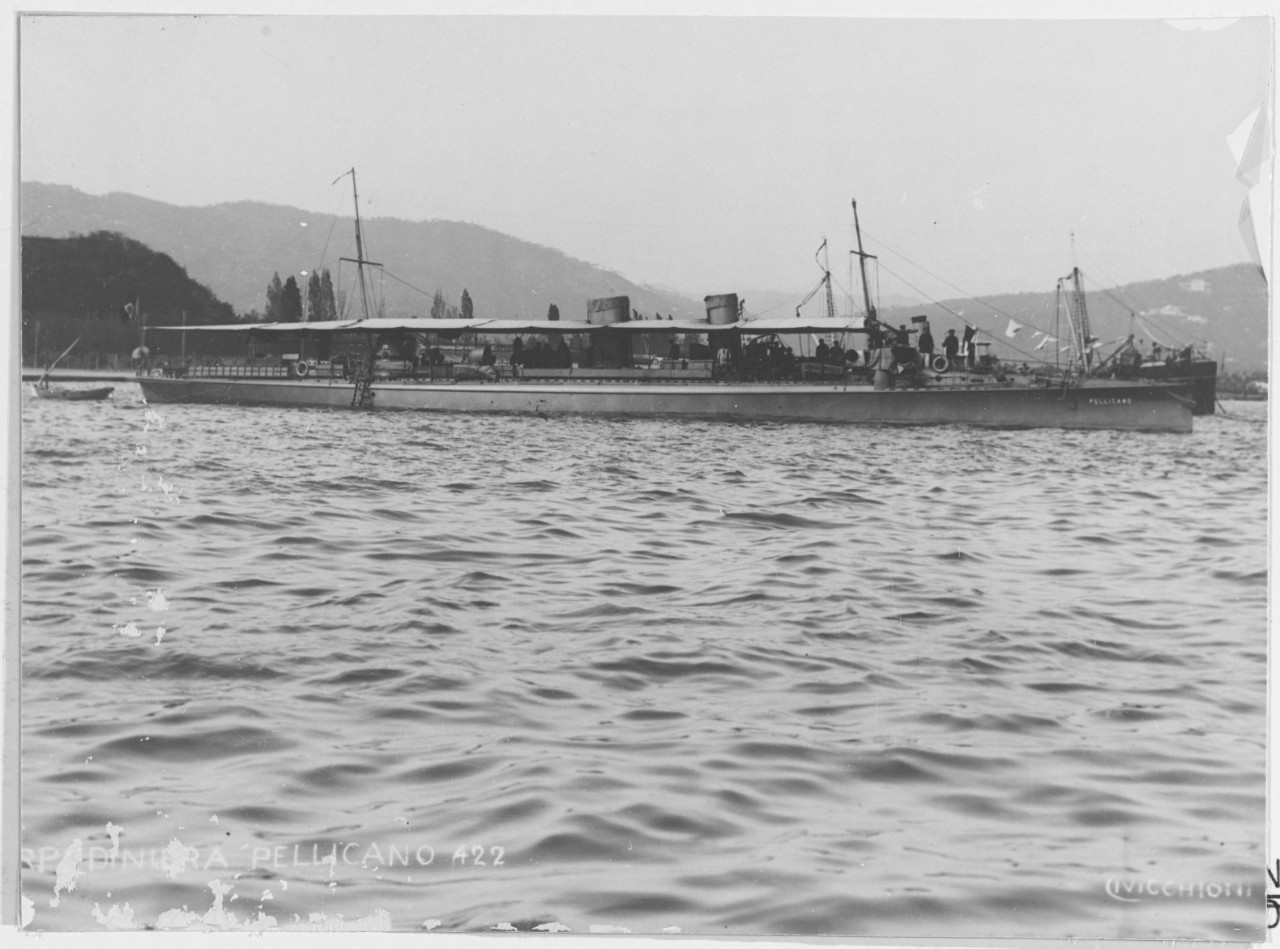 PELLICANO (Italian Torpedo boat 1899-1920)