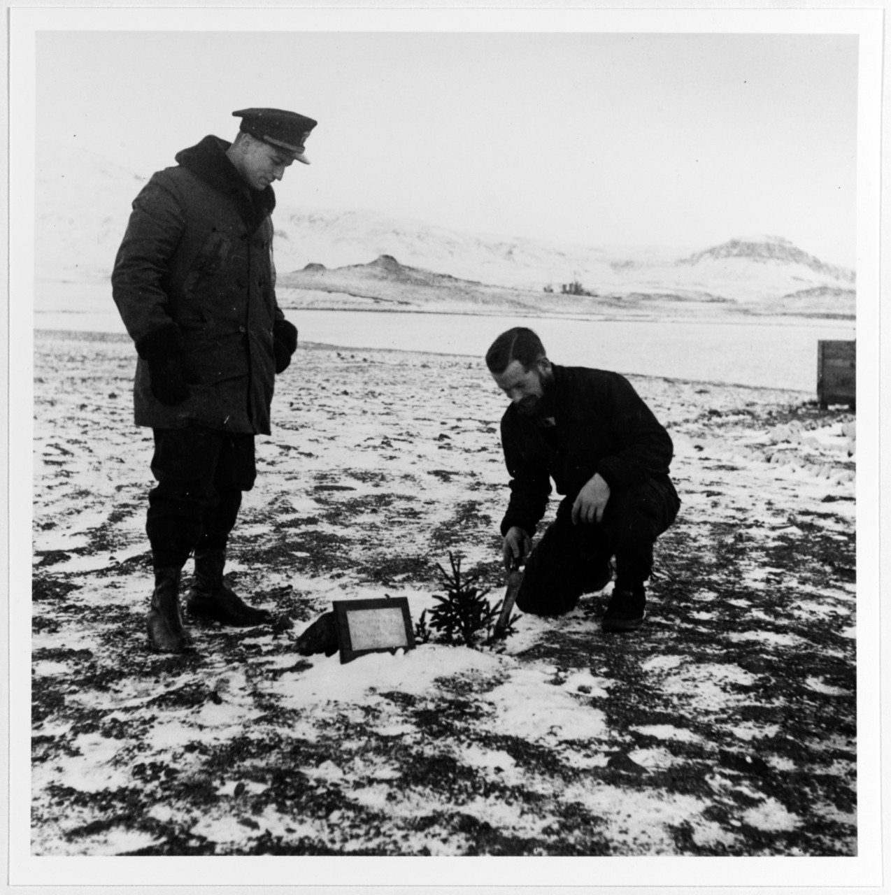 "Planting" a fir tree at Falcon's Landing, Iceland