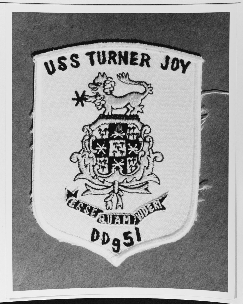 Photo #: NH 69615-KN USS Turner Joy (DD-951)