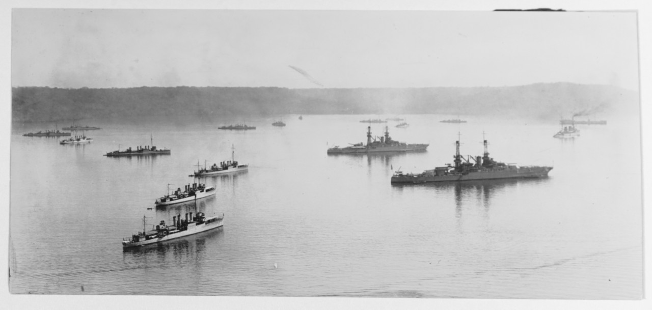 Units of the fleet anchored in harbor.