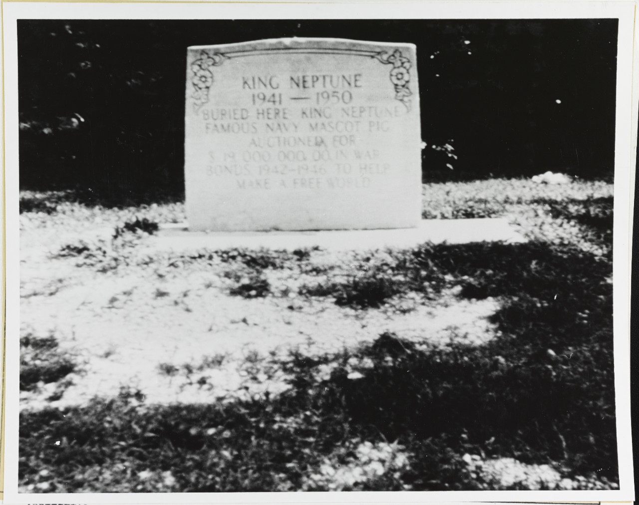 Grave of "King Neptune," the Navy Pig.