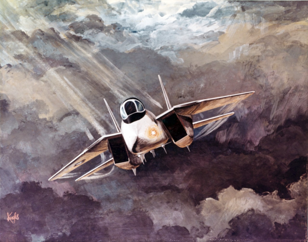 Grumman F-14 "Tomcat"