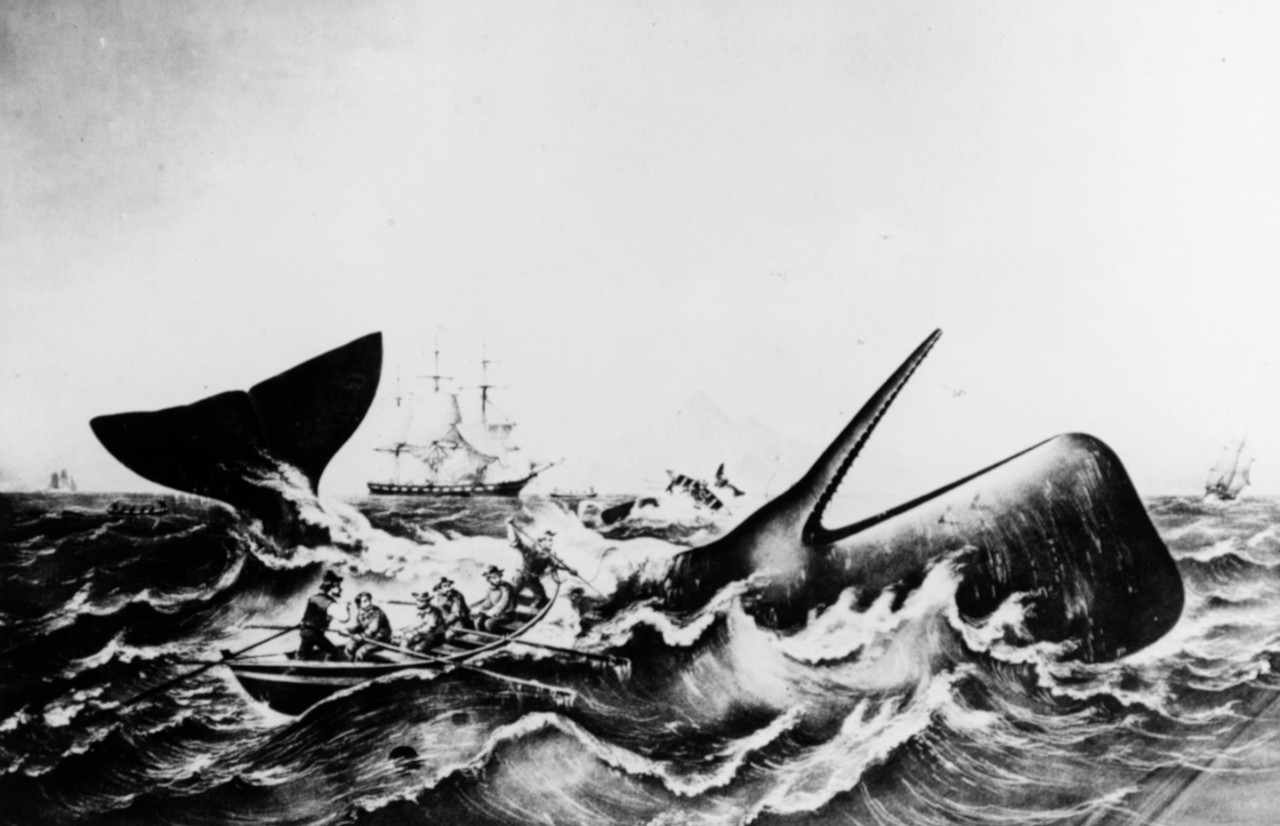 Sperm Whaling No. 2-the Capture